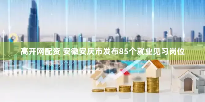 高开网配资 安徽安庆市发布85个就业见习岗位