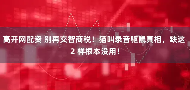 高开网配资 别再交智商税！猫叫录音驱鼠真相，缺这 2 样根本没用！